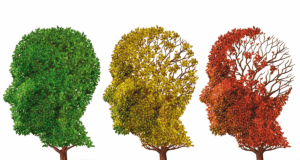 Jejuar previne contra o mal de Alzheimer e Parkinson