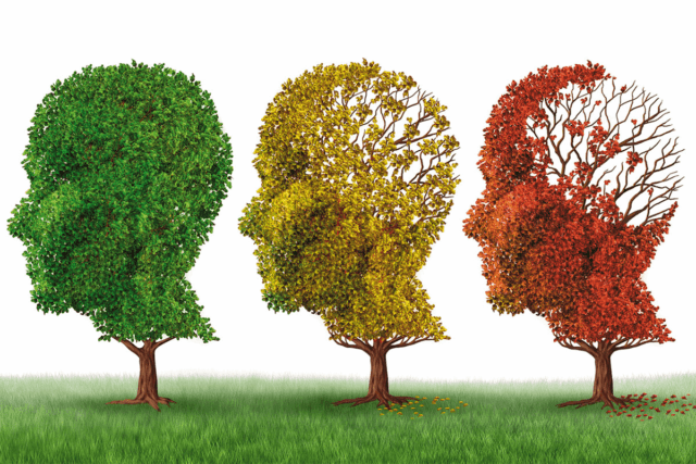 Jejuar previne contra o mal de Alzheimer e Parkinson