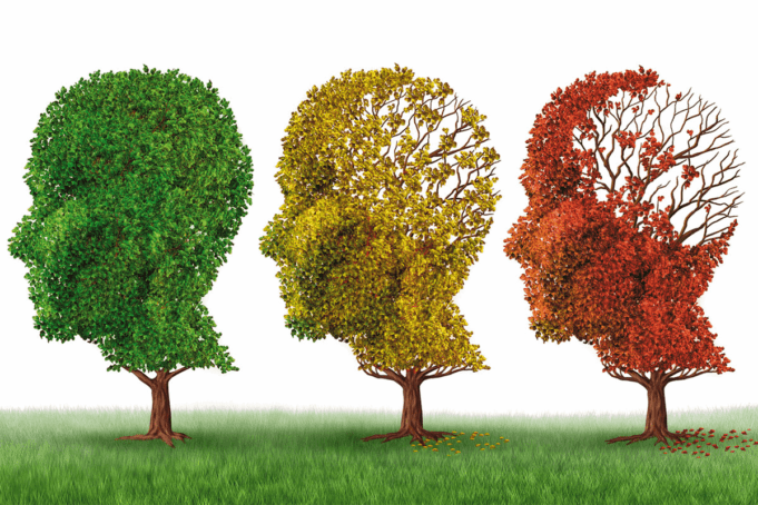Jejuar previne contra o mal de Alzheimer e Parkinson