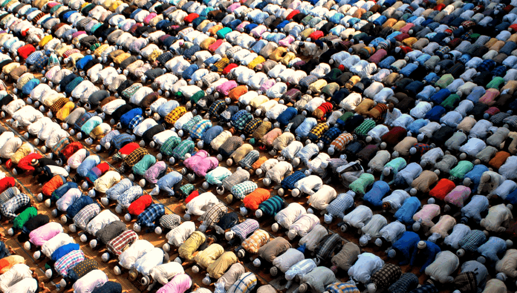 islamBR_g_0000003158