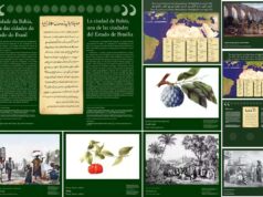 O olhar muçulmano