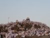 O dia de ‘Arafah e Suas Bençãos